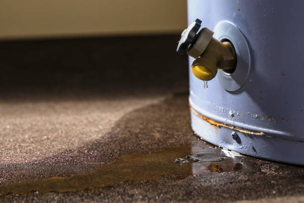 Best Sewage cleanup and water damage restoration  in Sumrall, MS