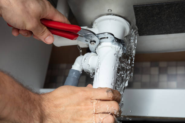 Best Professional water damage repair  in Sumrall, MS