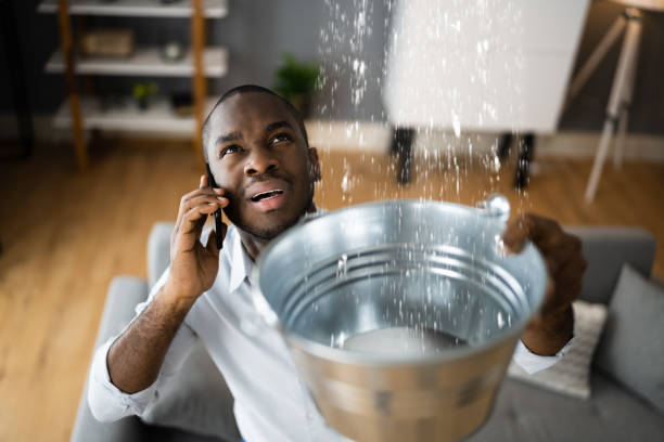 Best Commercial water damage restoration  in Sumrall, MS
