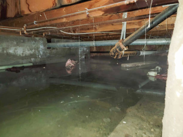 Best Ceiling water damage repair  in Sumrall, MS