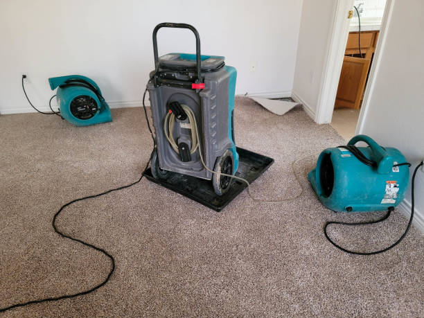 Best Mold removal after water damage  in Sumrall, MS