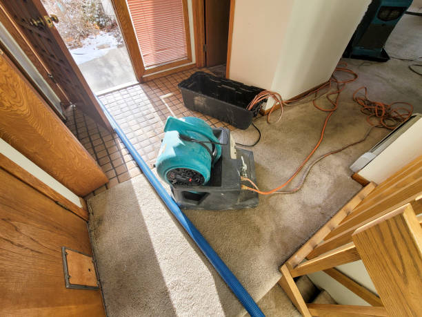 Best Ceiling water damage repair  in Sumrall, MS