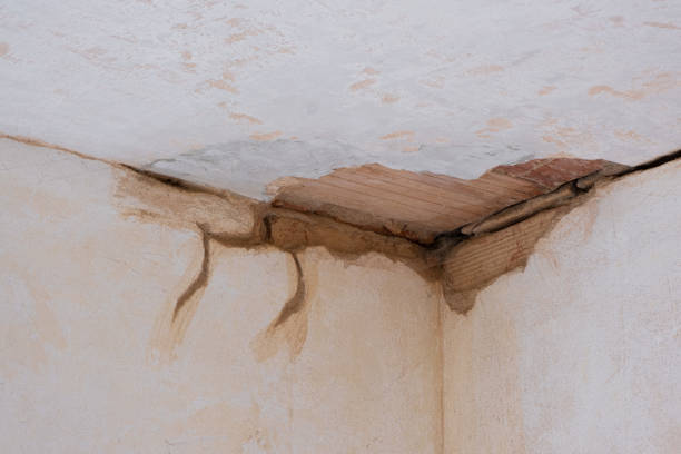 Best Carpet water damage restoration  in Sumrall, MS