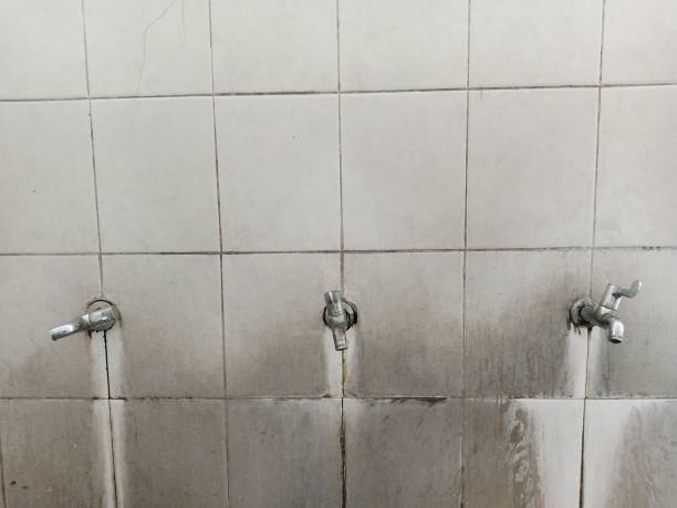 Water damage restoration experts in MS