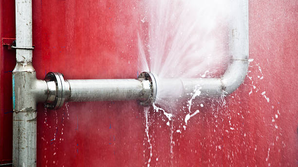 Best Flood damage cleanup  in Sumrall, MS