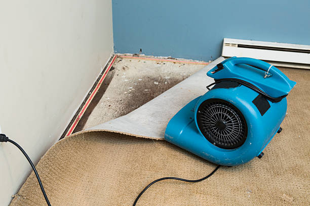 Best 24/7 water damage repair  in Sumrall, MS
